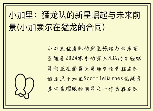 小加里：猛龙队的新星崛起与未来前景(小加索尔在猛龙的合同)